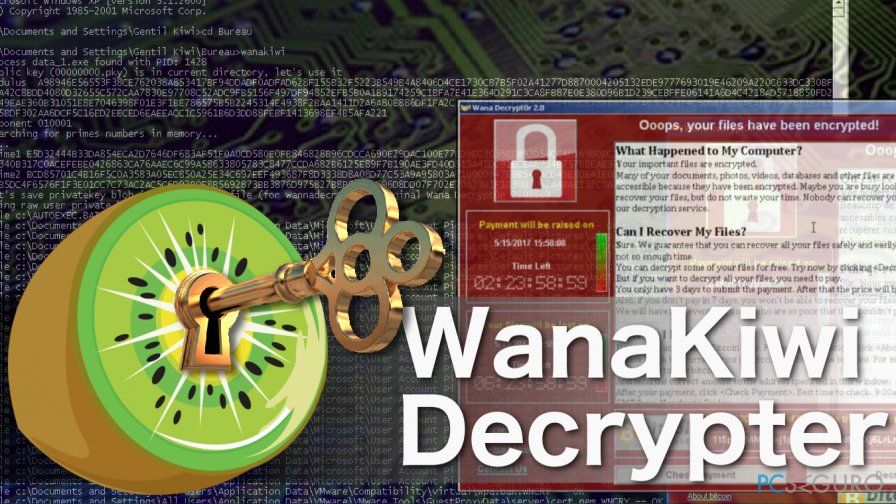 ¿Cómo recuperar archivos encriptados por Wannacry usando el desencriptador Wanakiwi?