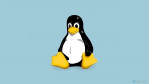 ¿Cómo solucionar el error la distribución del registro WSL falló en Windows?