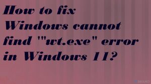 ¿Cómo solucionar el error de Windows no se encuentra '"wt.exe" en Windows 11?